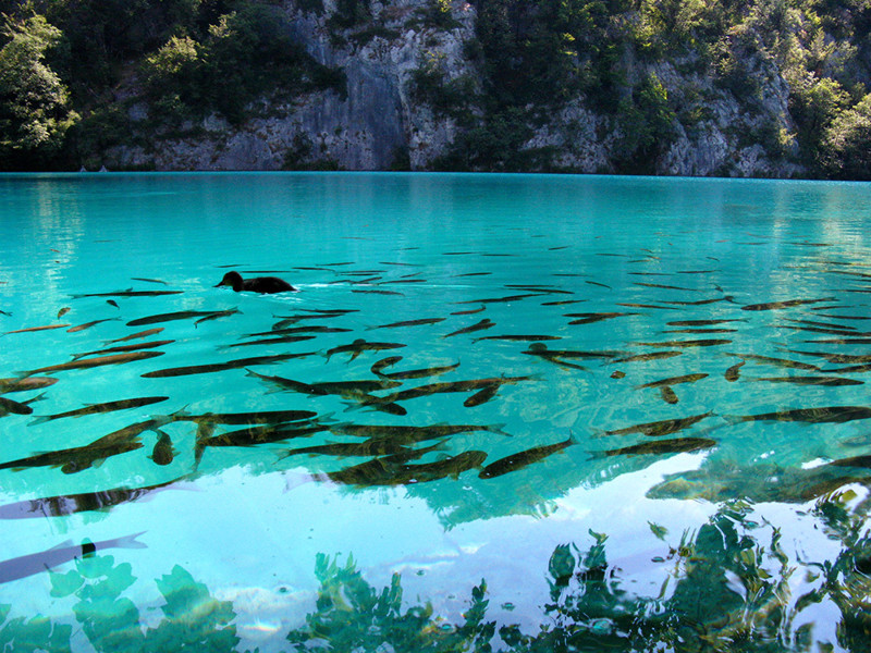 В самом красивом национальном парке Хорватии введено ограничение на вход