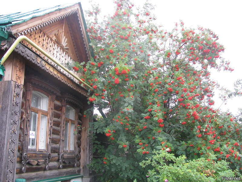Родительский дом картинки фото, красивых букетов