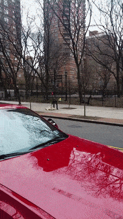 Хозяин заставляет гулять