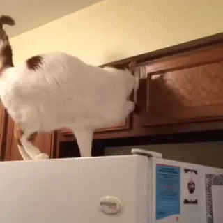 Тайное укрытие