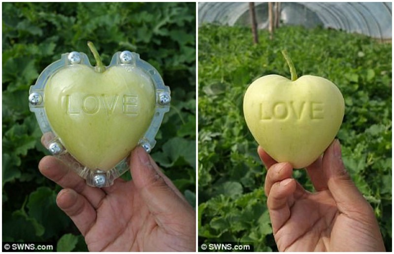 На некоторые формы можно нанести слова: например, яблоко в форме сердца с "любовью"