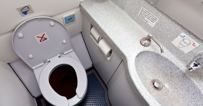 Туалет в самолете - рассадник бактерий