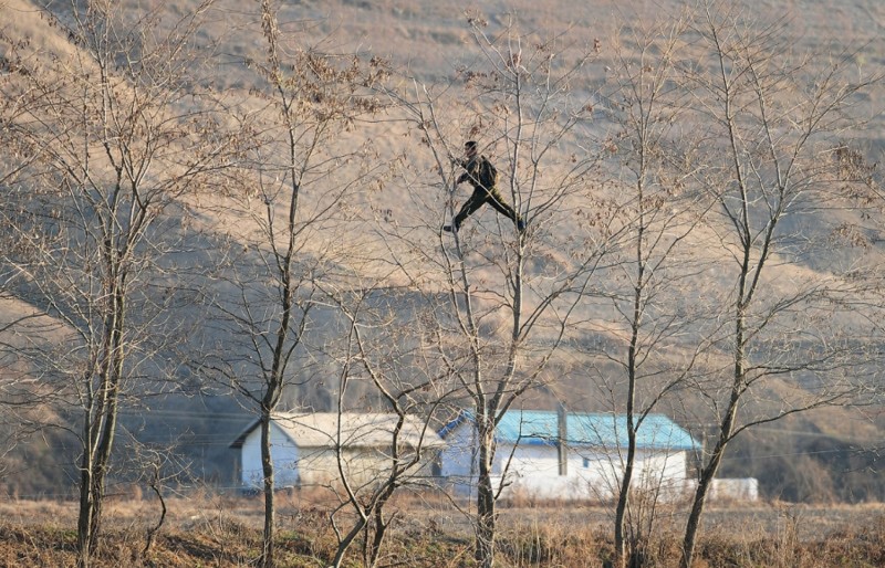 17. Северный корейский солдат лазит по деревьям на границе с Китаем, 25 ноября 2010. (ФотоFrederic J. Brown):