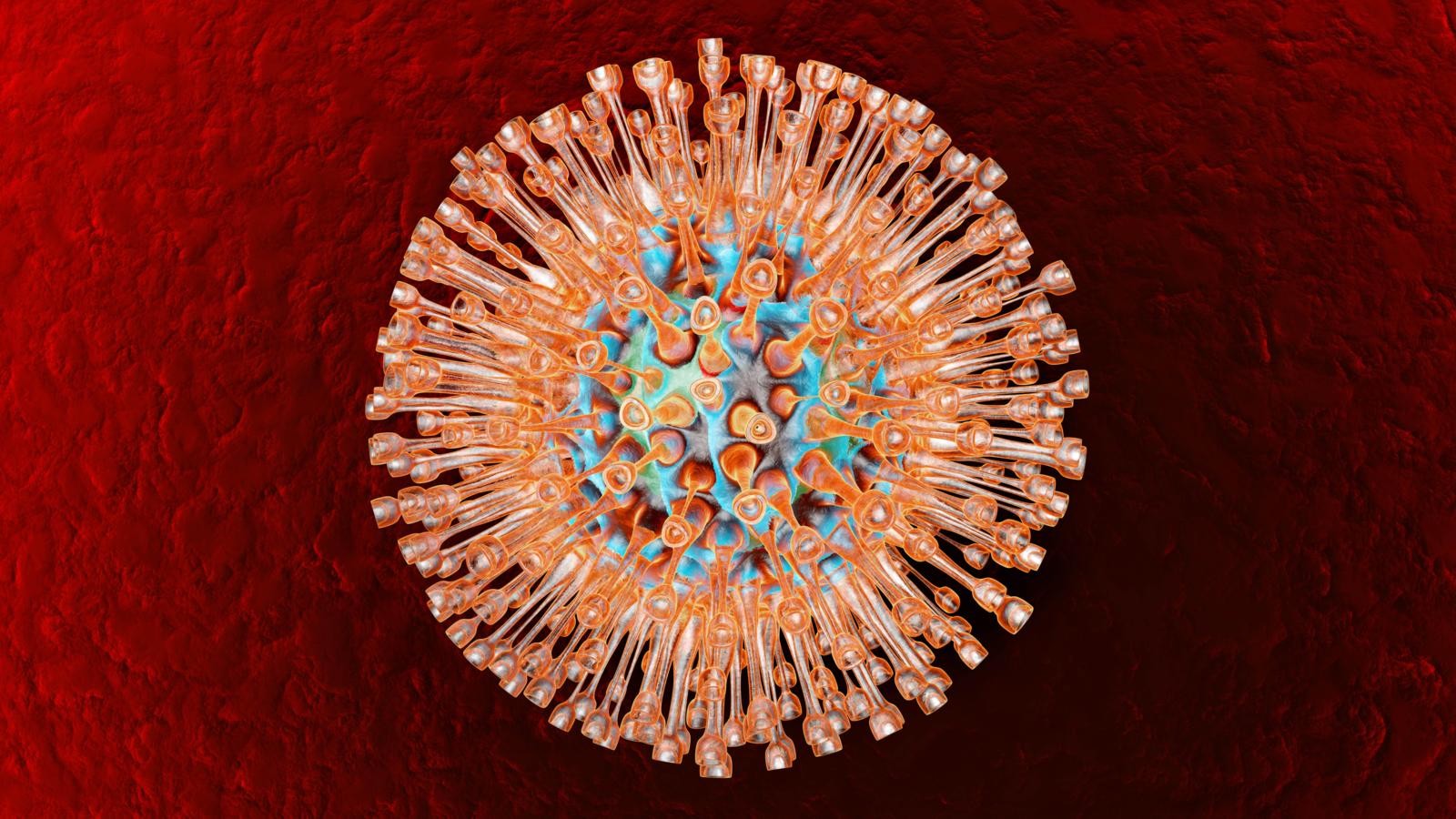 Дюжина удивительных фактов о вирусах