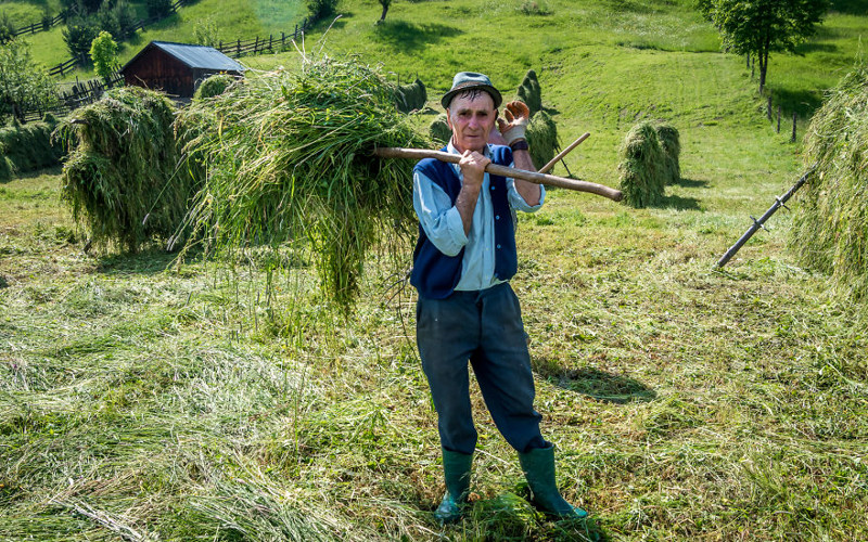 Некоторые аспекты сельской жизни в Румынии