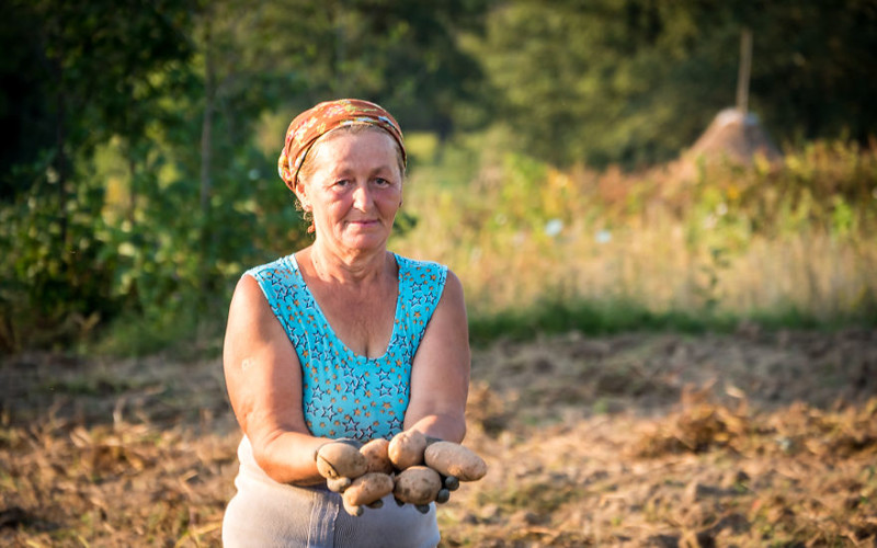 Некоторые аспекты сельской жизни в Румынии