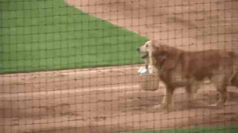 Водичку заказывали?