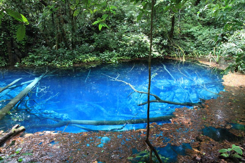 Голубой пруд в лесу 
