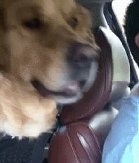 Когда увидели что-то странное 