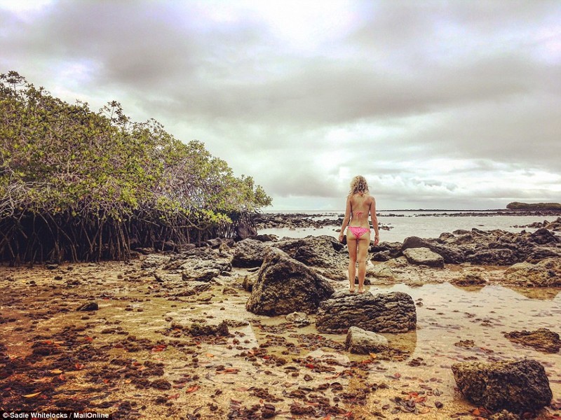 Галапагосские острова - настоящий рай на Земле