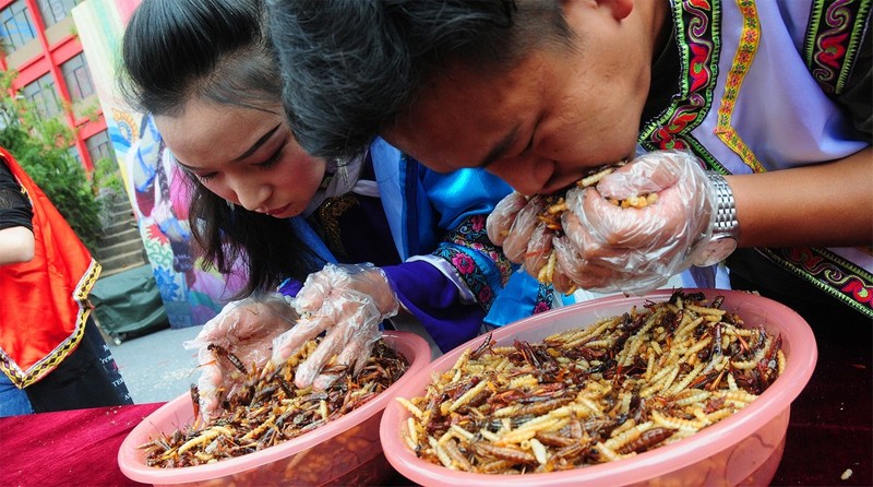 Китаец выиграл золото, скушав 1,23 кг жареных жуков за пять минут
