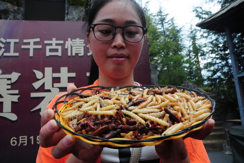 Китаец выиграл золото, скушав 1,23 кг жареных жуков за пять минут