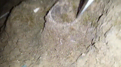 Жилище паука