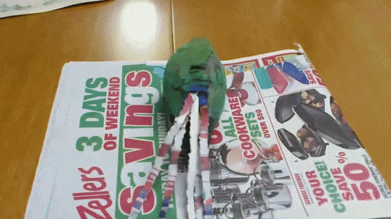 По последней моде