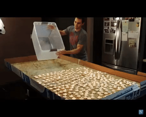 Углекислый газ в работе