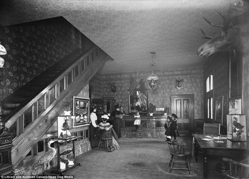 Комната, украшенная чучелами животных, в отеле Монтейт, Россо, Онтарио, ок. 1890 г.