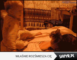 Ну психанули, ну бывает