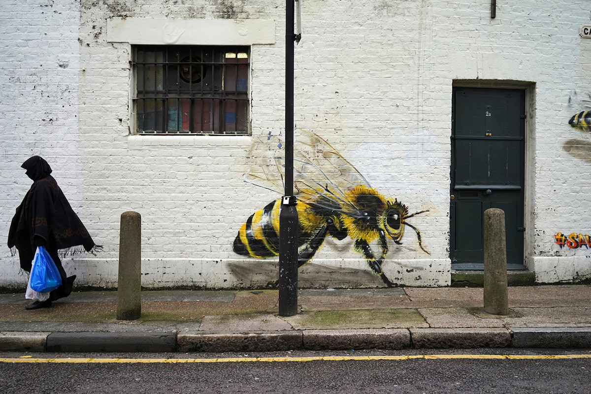 Спасение пчел посредством стрит-арта
