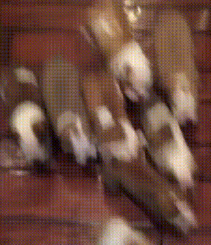 Тяжелая родительская доля