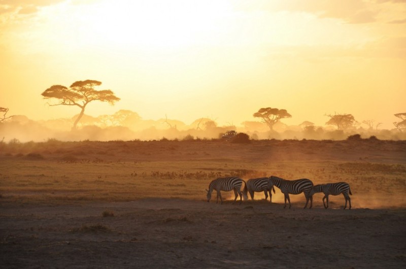 Национальный парк Амбосели в Кении.