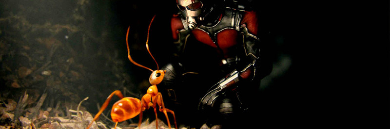 Космические муравьи.