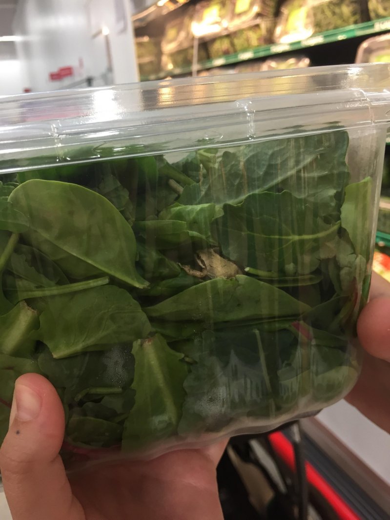 Лягушка в упаковке салата 