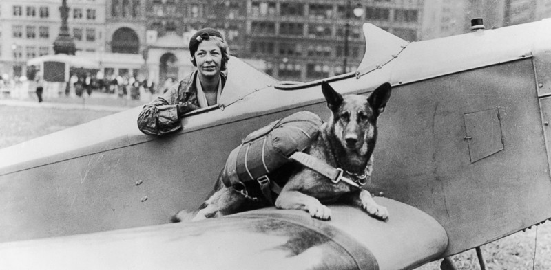 Собаки-парашютисты Второй мировой войны