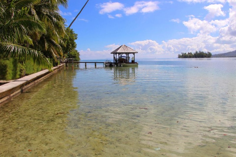 На самом острове находится дом в полинезийском стиле, который включает док, лодочный домик, современные удобства и достаточное количество кроватей для 15 гостей