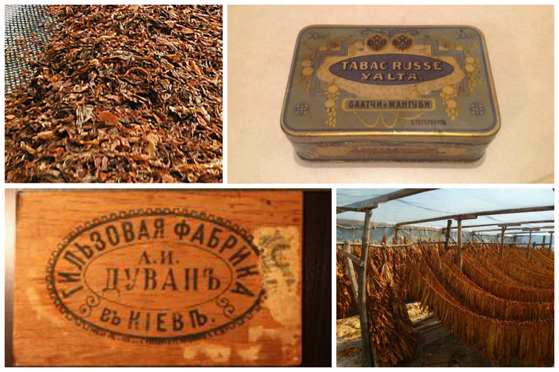 Дела шли так успешно, что в начале ХХ века караимы контролировали 2/3 всей табачной промышленности России.