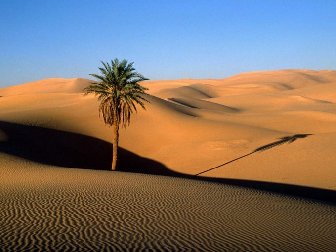 Самые удивительные пустыни мира