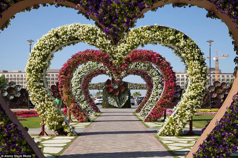 Парк «Сад чудес» в Дубае, ОАЭ.