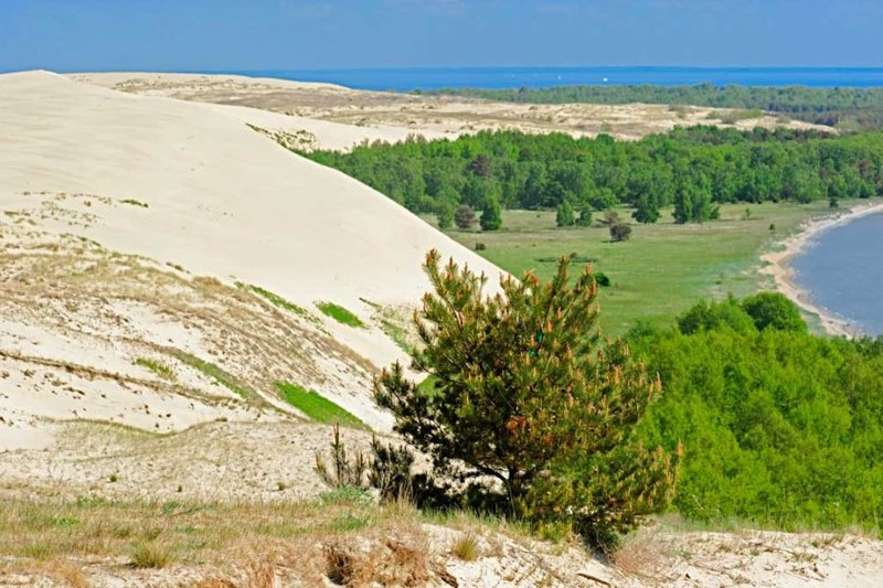 Национальный парк «Куршская коса» (Калининградская область)