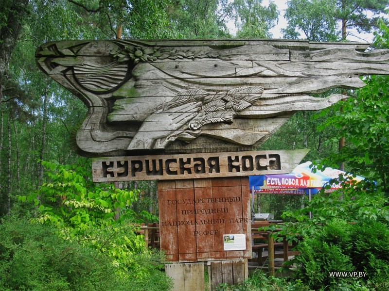 Национальный парк «Куршская коса» (Калининградская область)