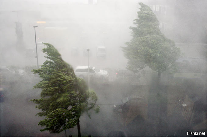 Что такое смог в погоде весной чем опасен для человека фото и название