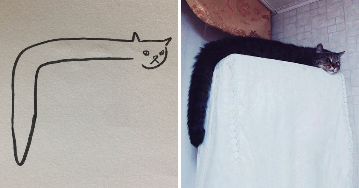 Кот с хвостом. Длинный кот. Нарисовать хвост кота. Нарисованный кошачий хвост. Удлинить изображение
