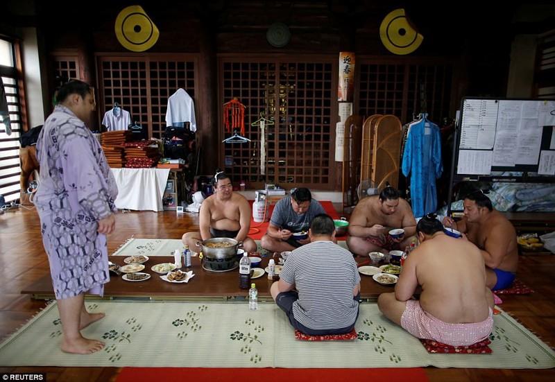 Секреты из закрытого мира бойцов сумо