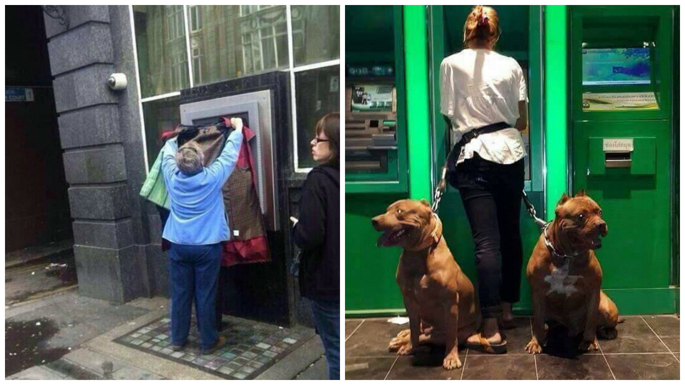 Люди активно используют банкоматы в повседневной жизни. Собака у банкомата. Бабки у банкомата. Девушка возле банкомата с собаками. Банкомат прикол.