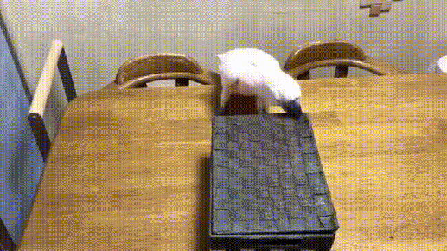 Передумал от такой наглости