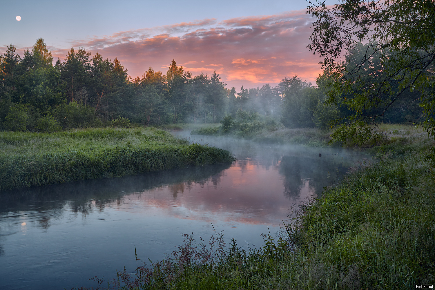 Художественная природа. Нерская река Орехово-Зуево. Живописная река. Июльский пейзаж. Фотографы пейзажисты.