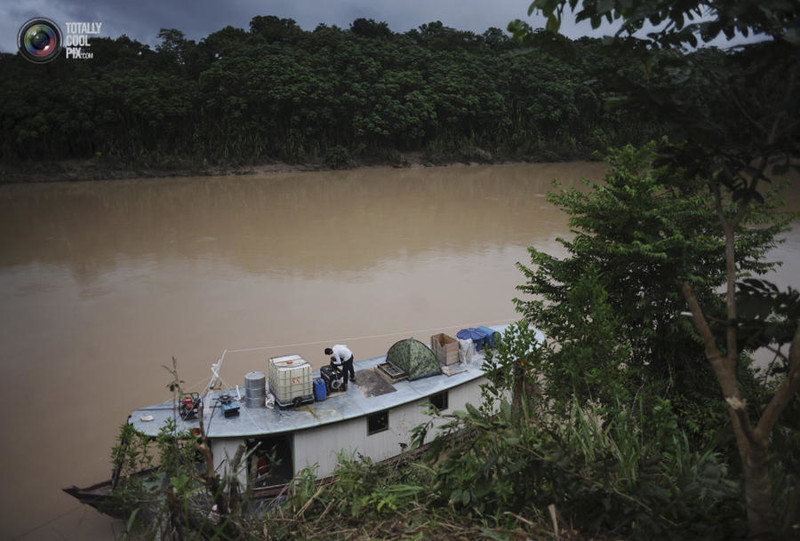 Выживание на Амазонке