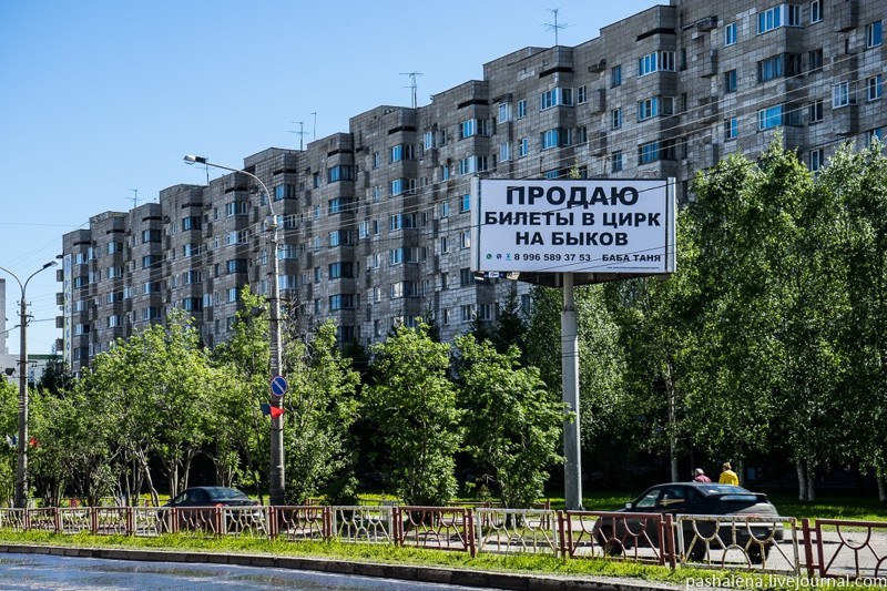 Архангельск — город доски, трески и тоски