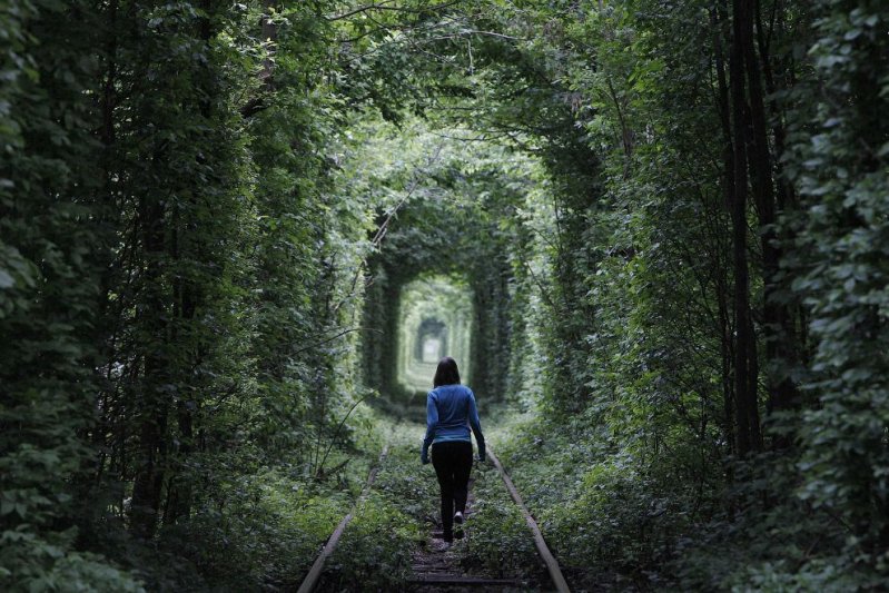  Кстати, это туннель любви — памятник природы местного значения. Находится возле посёлка Клевань, в Ровенском районе Ровенской области Украины.