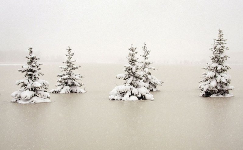 А в Миннесоте опять снег. Как в сериале «Фарго». (Фото Scott Olson):