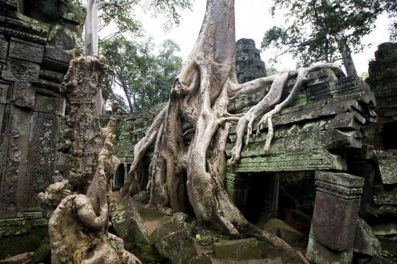 Трудно передать впечатления от посещения таких грандиозных мест, как камбоджийский комплекс храмов. 