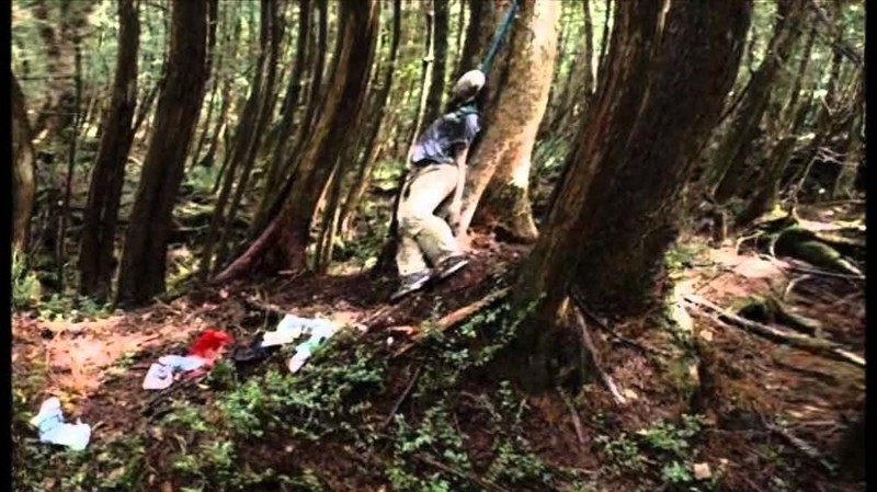 Жуткий японский лес самоубийц 