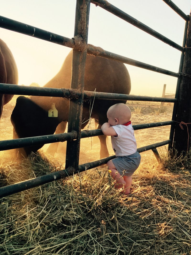 Малыш на ферме 