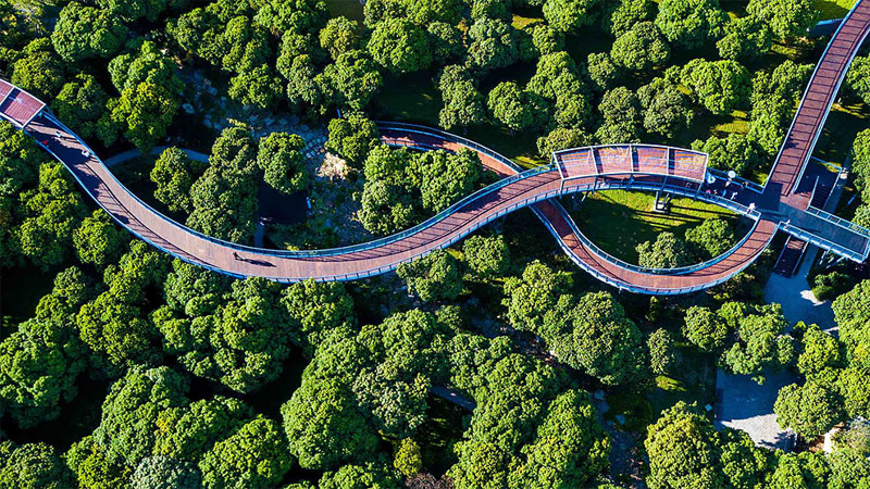 Ближе к природе: над китайским парком построили крутые пешеходные мосты
