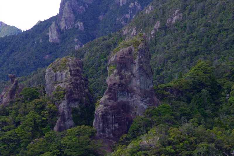 Great Barrier Island. Новая Зеландия