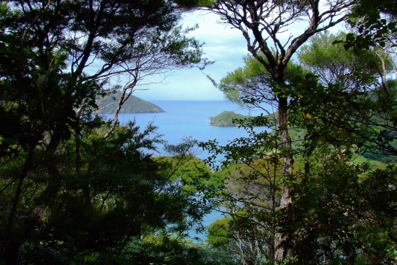 Great Barrier Island. Новая Зеландия