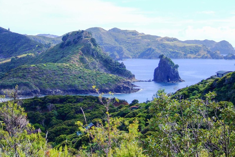 Great Barrier Island. Новая Зеландия